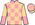 Silk Colours